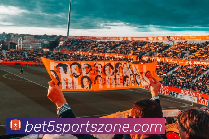 App Interface Preview